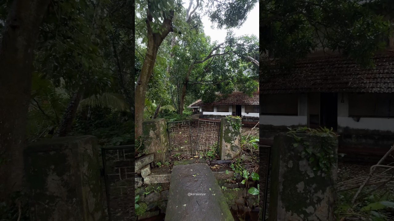 That Nostalgic Feel🍃😍 