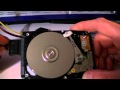 TOSHIBA Hard Drive &quot;Screeching Death&quot;