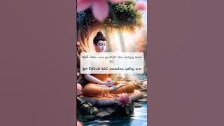 හිතන්න තප්පර අටක් : 330 #buddha #buddhism #buddhist #spirituality #motivation #lordbuddha #shorts
