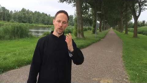 The Tao Journey - Master David Lusch