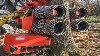 Dangerous Fastest Chainsaw Cutting Tree Machine Skills  Heavy Biggest Felling Tree Machine Working