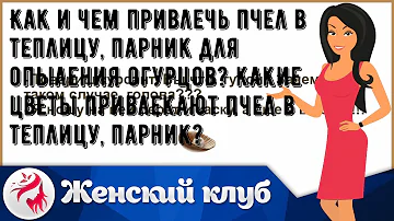 Как и чем привлечь пчел в теплицу, парник для опыления огурцов? Какие цветы привлекают пчел в тепл.