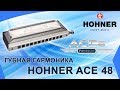 Обзор губной гармоники HOHNER ACE 48 | Михаил Гапак