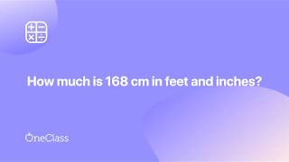 47 24 inches to feet