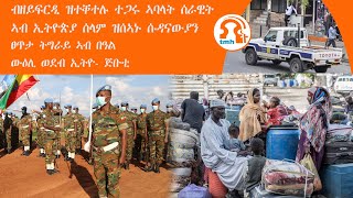 ነጋሪት ዜና- TMH |ብዘይፍርዲ ዝተቐተሉ ተጋሩ ኣባላት ሰራዊት፣ ኣብ ኢትዮጵያ ሰላም ዝሰኣኑ ሱዳናውያን፣ ፀጥታ ትግራይ ኣብ በዓል፣ ውዕሊ ወደብ ኢትዮ-ጅቡቲ