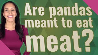 Are pandas meant to eat meat