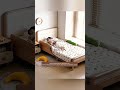 Solid Wood Kids’ Bed with Pull-Out Design #kidsbed #kidsroom #homedecor