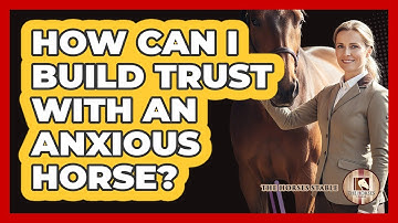 How Can I Build Trust With An Anxious Horse? - The Horses Stable
