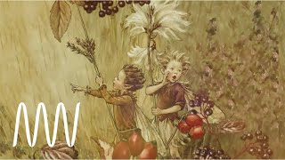 Flower Fairies exhibition | National Museums Liverpool