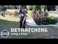 Dethatching my lawn with a RAKE  and reseeding
