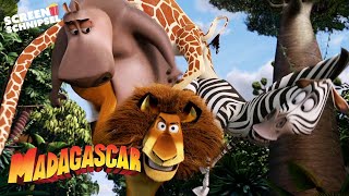 Zootiere vs. Fossas | Madagascar | Screen Schnipsel