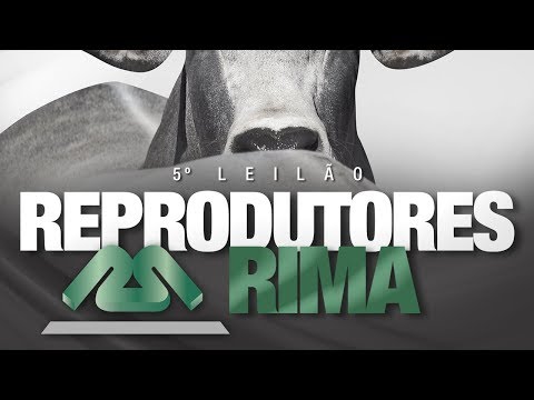 Lote 15   Rima FIV Milorde   RIMA A2440