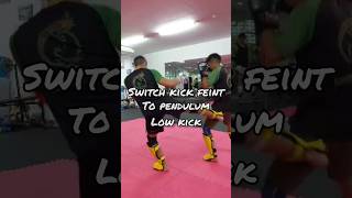Switch kick feint into pendulum low kick ?? muaythai kickboxing thaiboxing