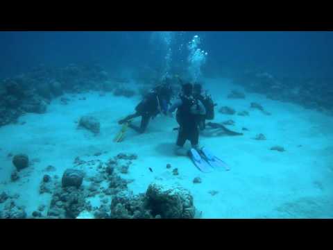 Scuba Diving in Mauritius, March 2016. Shot with Gitup Git2 action camera (Chinese GoPro clone).
