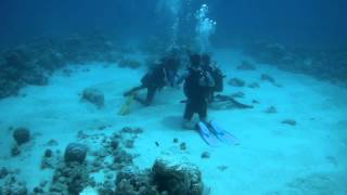 Scuba Diving in Mauritius, March 2016. Shot with Gitup Git2 action camera (Chinese GoPro clone).