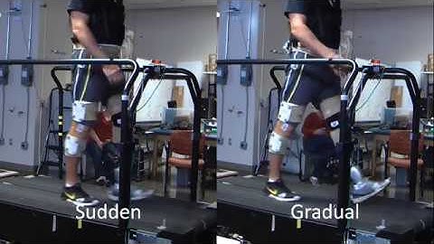 Dynamic Walking 2018