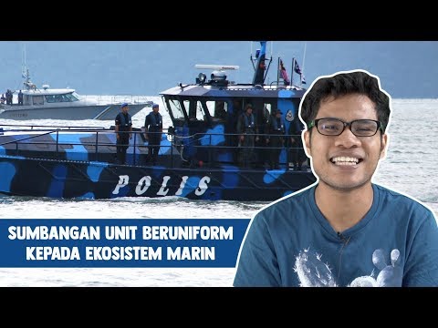 Video: Paul Hagen: Biografi, Kreativiti, Kerjaya, Kehidupan Peribadi