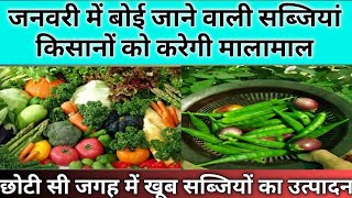 जनवरी में बोई जाने वाली सब्जियां किसानों को देगी मुनाफा | January vegetable | जनवरी में उगाए सब्जी