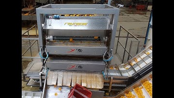 Peeled Halved Peaches sorted by Raynbow | RAYTEC VISION SpA