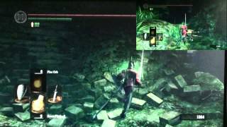 Dark Souls PC - Royal Woods Walkthrough