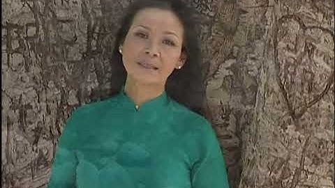 Khánh Ly - Như Cánh Vạc Bay (Trịnh Công Sơn)