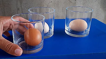 Como saber se o ovo está bom para deitar?