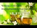 Как почистить сосуды от холестерина народными средствами: рецепты