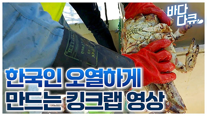 한국인 오열하게 만드는 킹크랩 영상 / #바다다큐