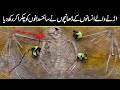 most amazing discoveries scientist still can&#39;t explained | Urdu Cover