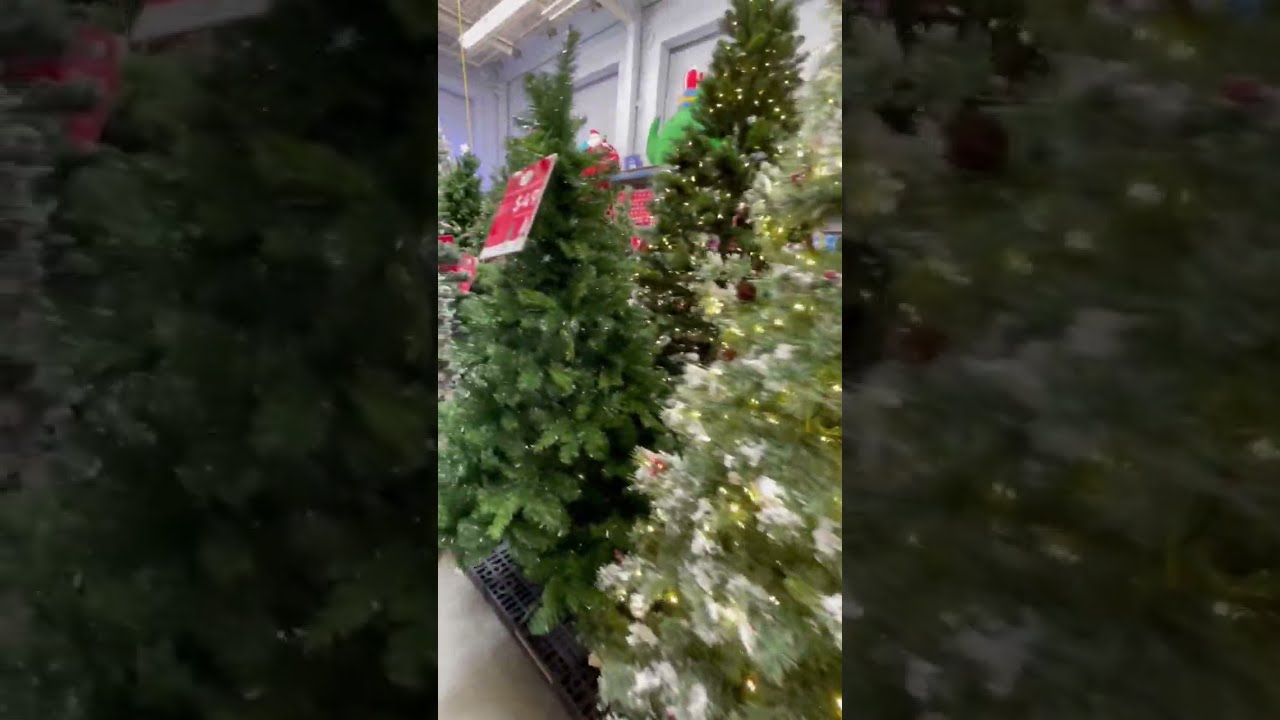 Christmas is coming!! πβ€οΈ Walmart π Florida π Christmas Trees