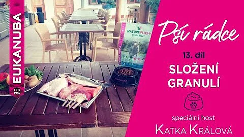 Jak vybrat krmivo pro psy?