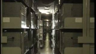 Vatican's secret archives turns 400 years old
