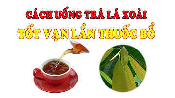 Lấy Lá Xoài Non Nấu Uống Theo Cách Này 14 Bệnh Khỏi Ngay | Tác dụng của lá xoài non