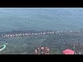 Chimera Nuoto, pioggia di medaglie e successi