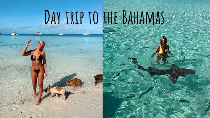 THE BEST DAY TRIP TO THE BAHAMAS !! STANIEL CAY SW...