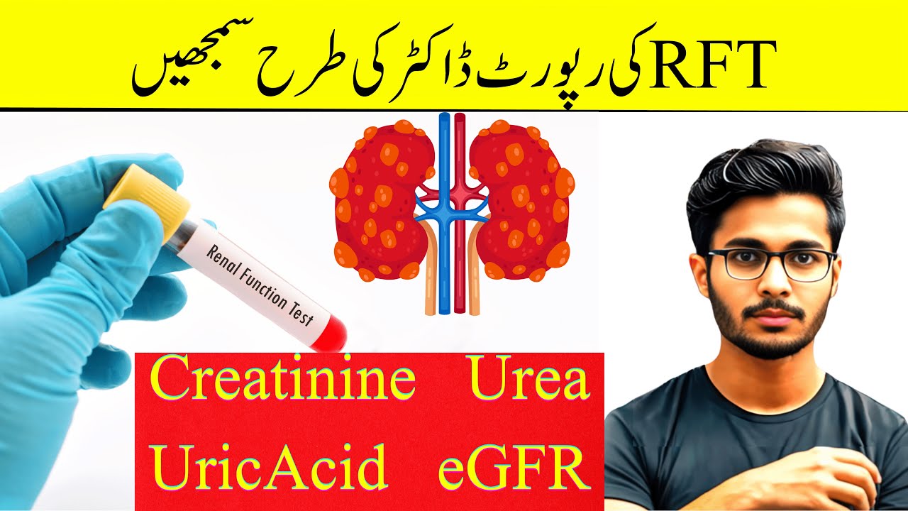 Renal Function Test in Urdu | Renal Function Test Report Kaise Padhe | RFT Test Report Kaise Dekhe