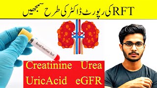 Renal Function Test In Urdu Renal Function Test Report Kaise Padhe Rft Test Report Kaise Dekhe