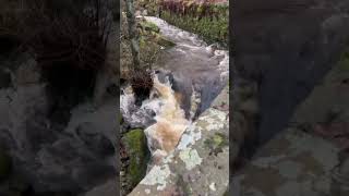 After Heavy Rain In The Peak District #outdoors #peakdistrict #hiking #Rain #Rivers