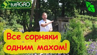 ОДНИМ МАХОМ ИЗБАВИТЬСЯ ОТ ВСЕХ СОРНЯКОВ и ПРОПОЛКИ! Как поменьше работать в огороде и всё успевать.