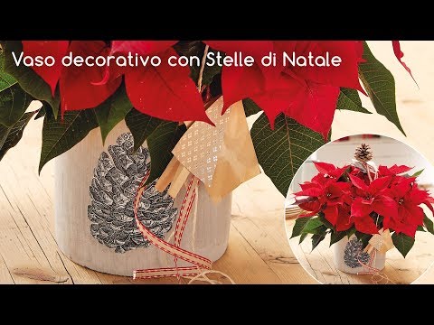 Decorazione Stella Di Natale.Idee Decorative Vaso Con Stelle Di Natale Youtube