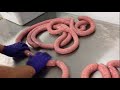 Wild Hog Sausage with natural casings ~ twisting the links