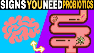 8 Signs You Need To Take Probiotics Now! 🦠