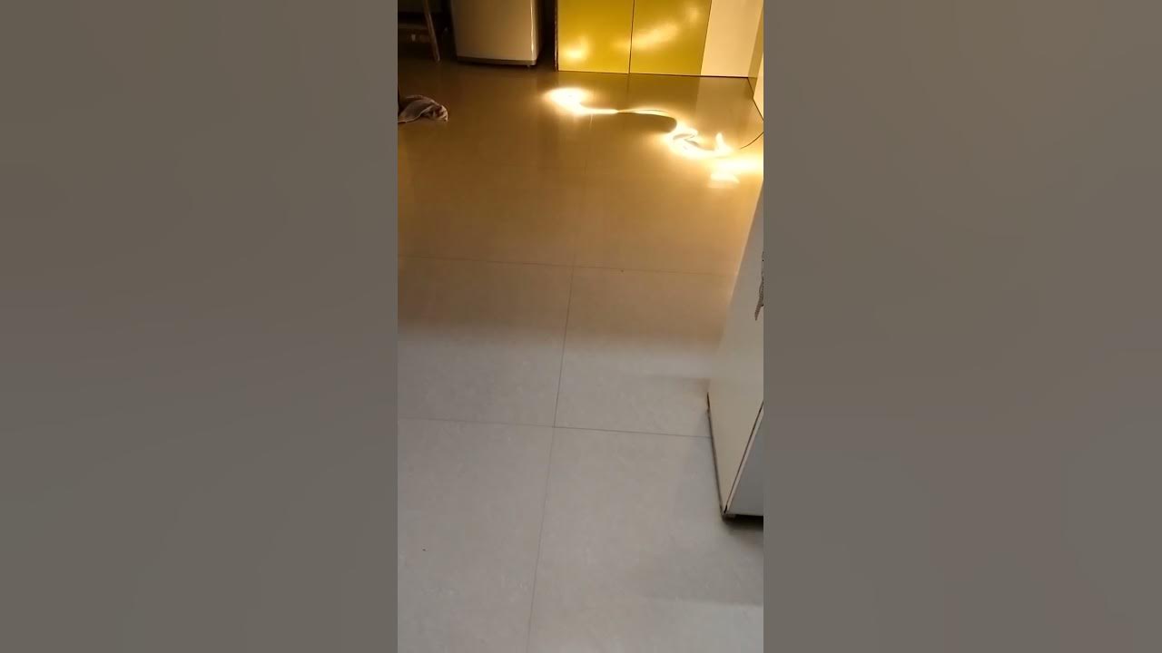 Light Mirror Motion Sensor Available on IndiaMART YouTube