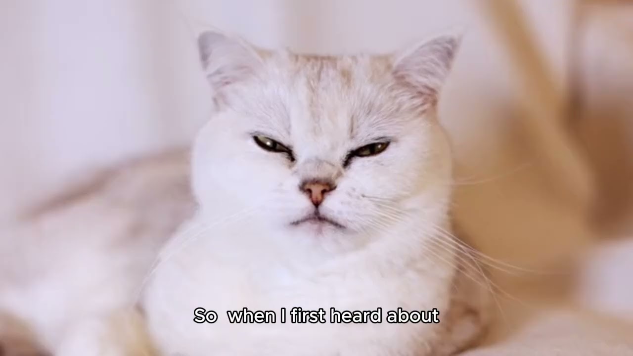 Zen Cortex Ear Drops: Honest Review and Real Customer