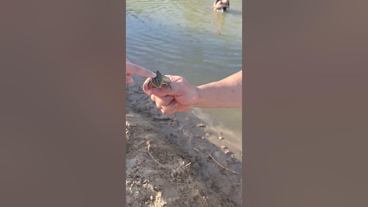 крези#фрог#😀😀😀 - YouTube
