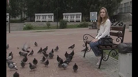 Можно ли кормить голубей?
