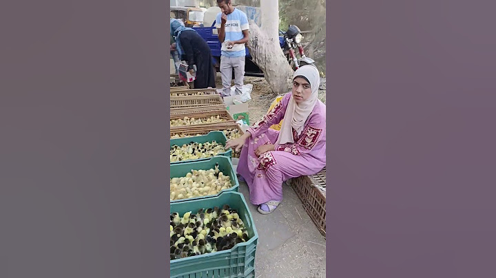 أعرفى اسعار البط الفرنساوي لو عاوزه تجيبي لرمضان 👌🥰