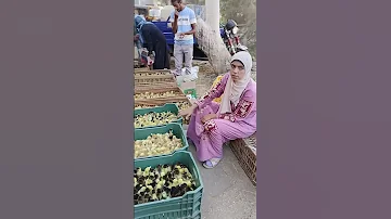 أعرفى اسعار البط الفرنساوي لو عاوزه تجيبي لرمضان 