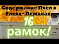 Работа в Лежаке на 16 рамок!