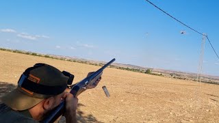 صيد القميري 2023 رحلة صيد من القصيم(السعوديه)إلى تونس chasse tourterelle des bois dove hunting